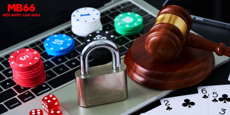 Chơi phải có trách nhiệm đóng vai trò quan trọng tại MB66