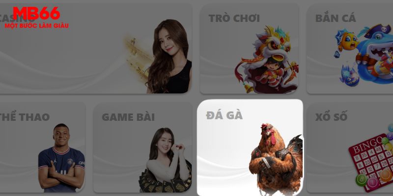 Đá Gà MB66 2 Hướng dẫn chơi Đá Gà MB66